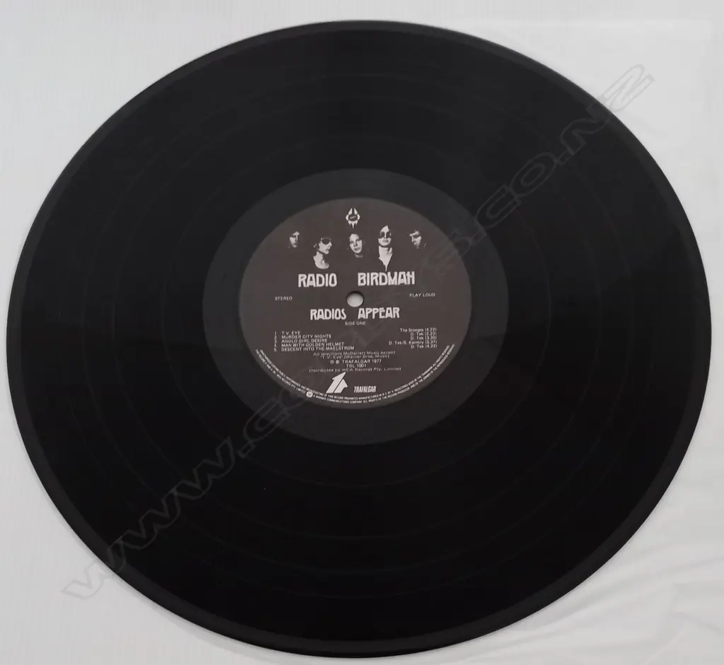 Radio Birdman, Radios Appear Image 1++